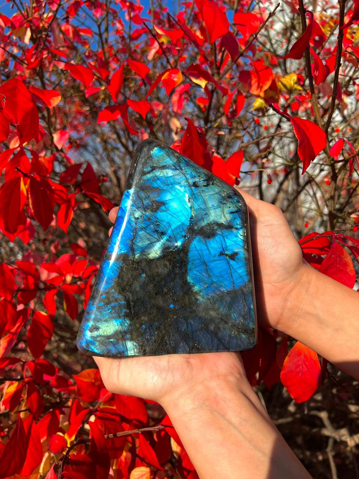 Labradorite Free Forms