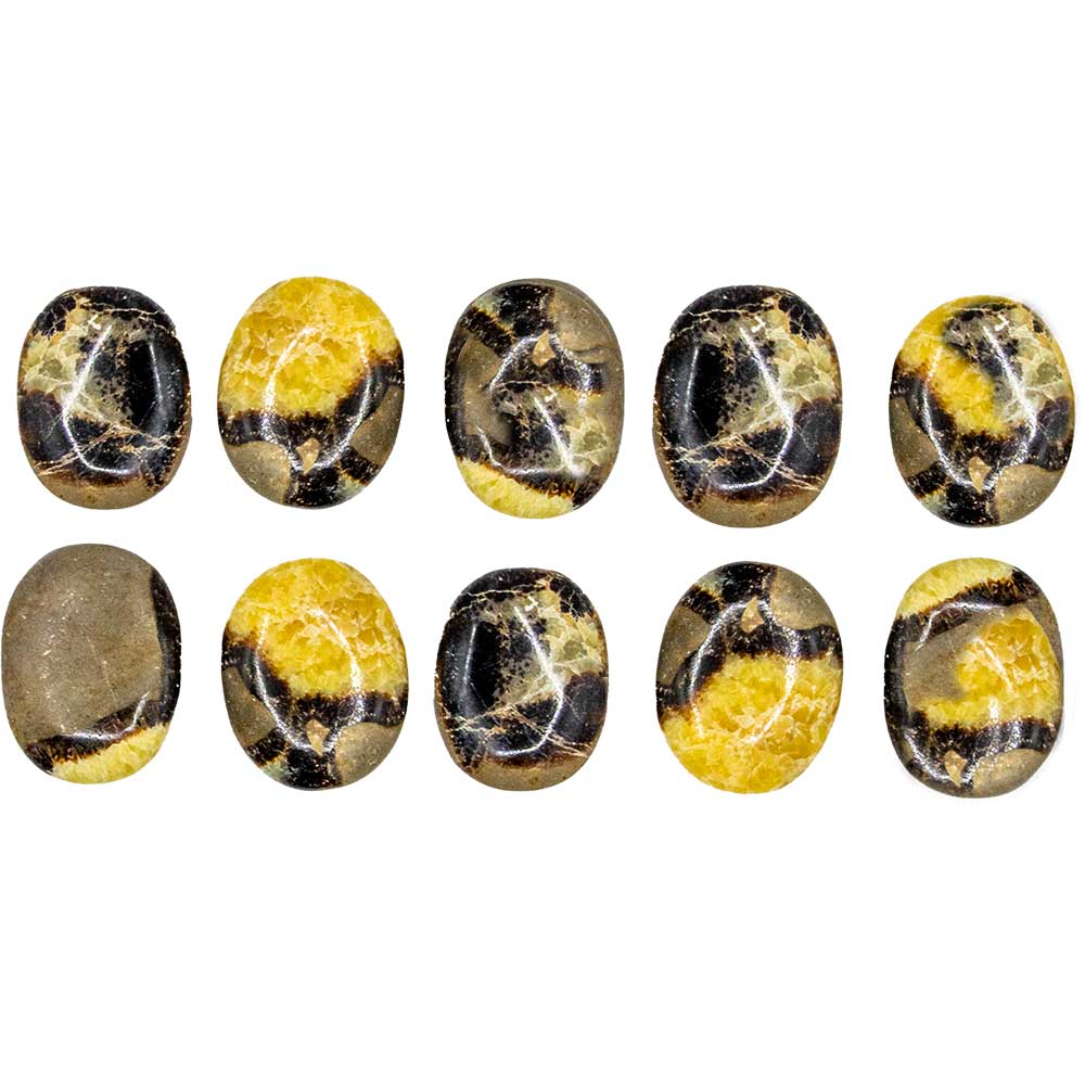 Septarian/ Dragon Stone Worry Stone