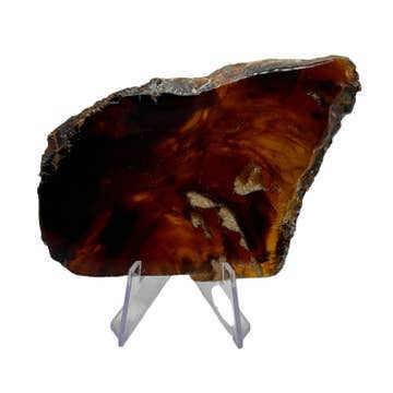 Amber Slabs