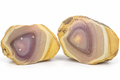Jasper, Polychrome 1 Side (Polished 1 Side)