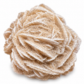 Desert Rose