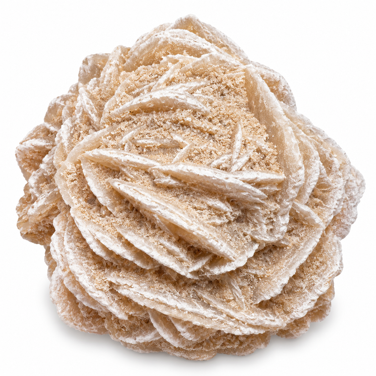 Desert Rose