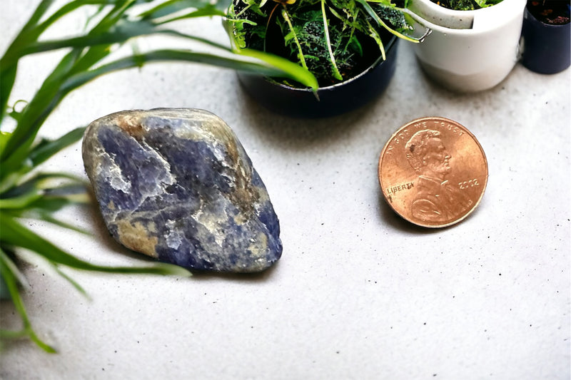 Sodalite Tumbled Stone