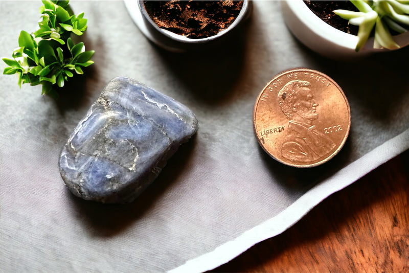 Sodalite Tumbled Stone