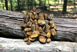 Tiger Eye Tumbled Stone