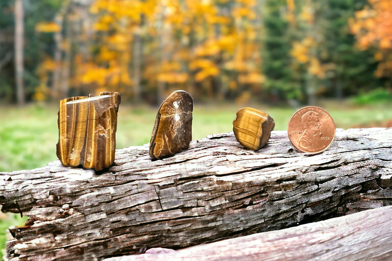 Tiger Eye Tumbled Stone