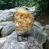 Citrine Druzy on Metal Stand