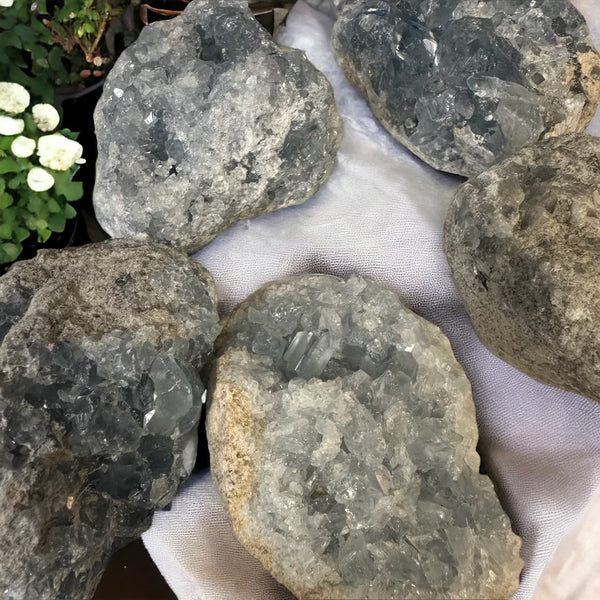 Celestite Druzy Specimens