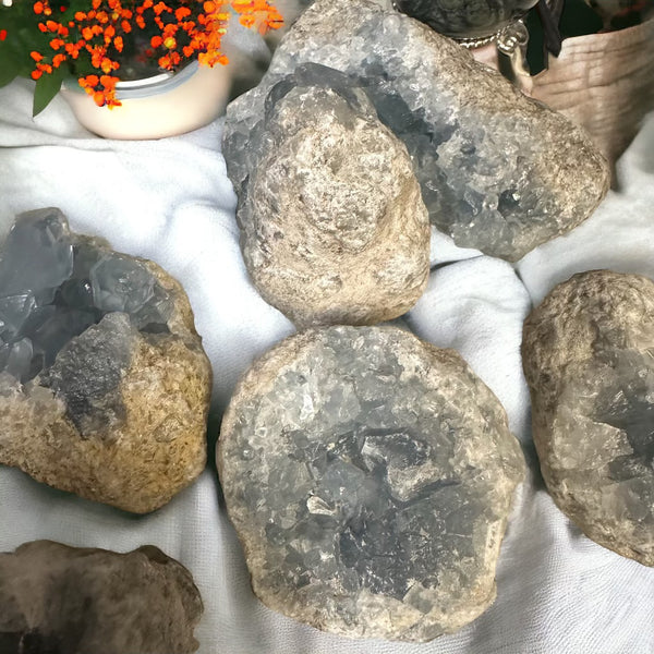 Celestite Druzy Specimens