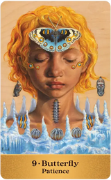 Totem Guardians Oracle Deck