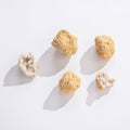 Moroccan Geodes (1.25"-1.5"L)