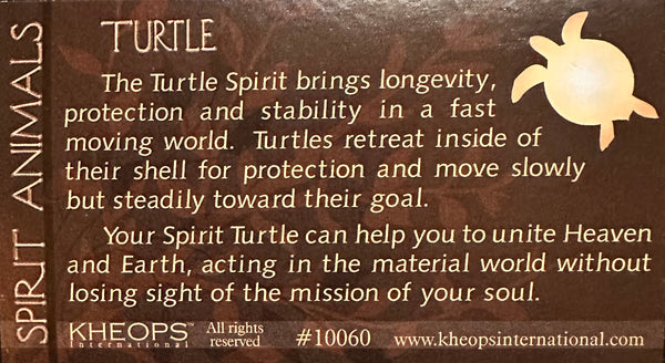 Turtle Dolomite Spirit Animal